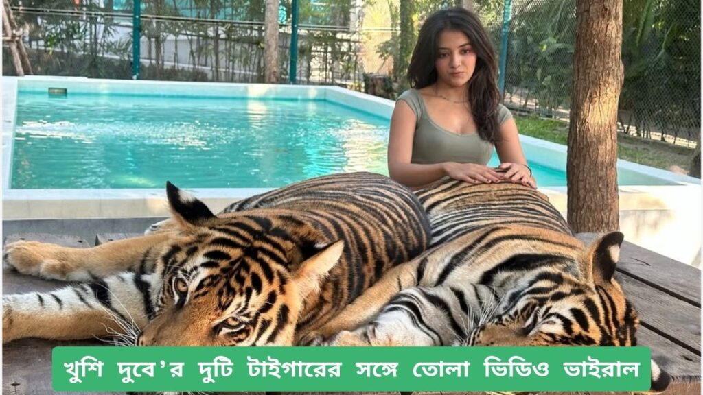 ভাইরাল ভিডিও: খুশি দুবে’র দুটি টাইগারের সঙ্গে তোলা ভিডিও ভাইরাল