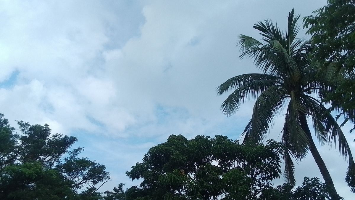 আজকের আবহাওয়া সংবাদ: পশ্চিমবঙ্গে কোথায় কোথায় বৃষ্টি হবে? (১৬ জুন ২০২৫)