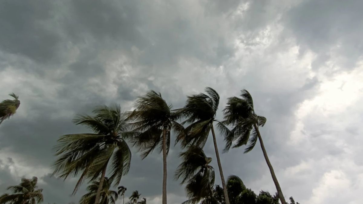 আজকের বৃষ্টির খবর পশ্চিমবঙ্গে আবহাওয়ার সর্বশেষ আপডেট (১০ জুন, ২০২৫)